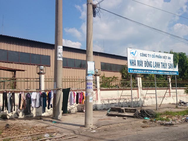 nguoi nuoi ca bi no tram ty van khong dam... "lam lon chuyen" hinh anh 1