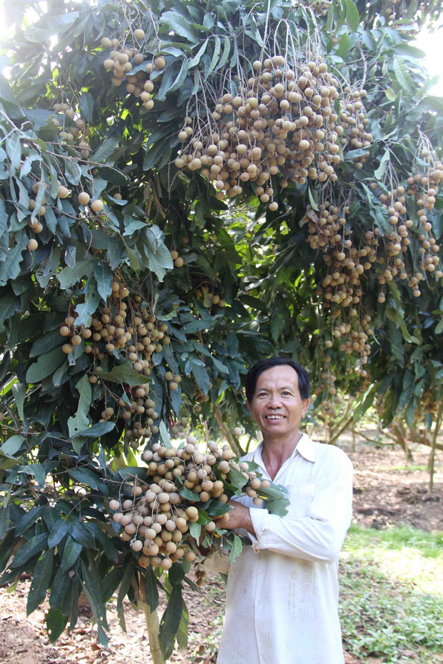 nhan mien tay com day hat nho khong du hang de... di tay hinh anh 10