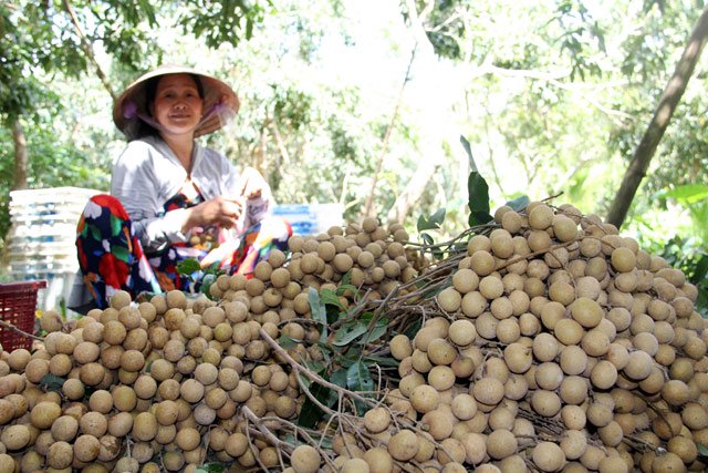 nhan mien tay com day hat nho khong du hang de... di tay hinh anh 6