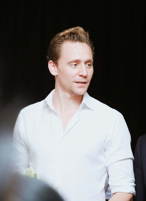 fan viet "chet lang" vi ve dep "loki" tom hiddleston hinh anh 10