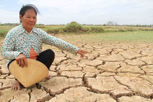 "lua kho chay het roi, cho bo an ma bo con... che" hinh anh 1