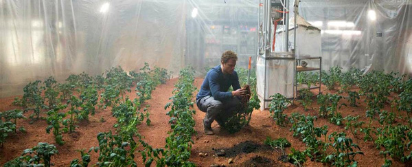 Tiết lộ các loại rau củ quả sẽ được trồng trên sao Hỏa - Ảnh 1.