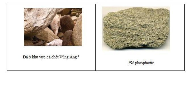 
So sánh đá ở khu vực Vũng Áng và đá phosphorite
