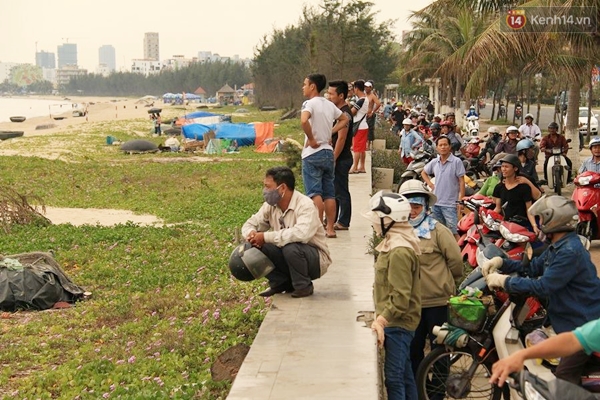 Hàng trăm người dân Đà Nẵng xem cá heo 200kg bơi nhiều giờ sát bờ biển - Ảnh 3.