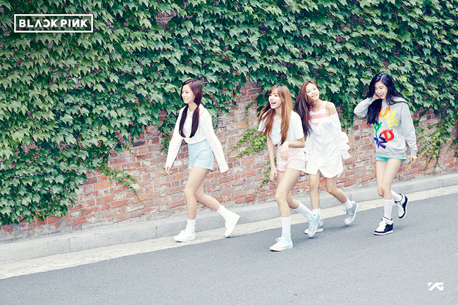 Chính thức: Girlgroup em gái 2NE1 sẽ gồm 4 thành viên và mang tên... - Ảnh 7.