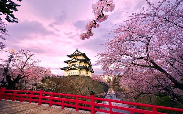Những điều tuyệt vời khiến ai cũng ao ước được một lần ghé thăm Nhật Bản - Ảnh 7.