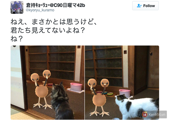 Truyền thuyết ở Nhật kể rằng thú cưng cũng có thể nhìn thấy cả Pokémon - Ảnh 5.