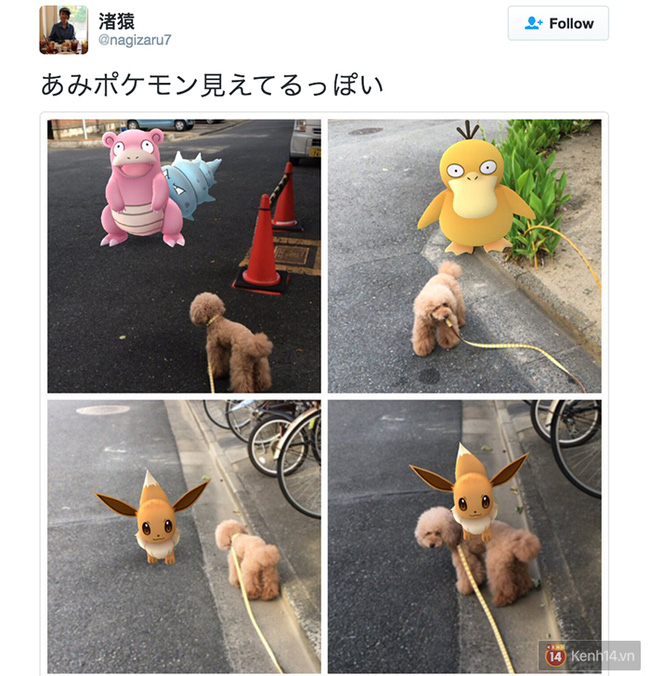 Truyền thuyết ở Nhật kể rằng thú cưng cũng có thể nhìn thấy cả Pokémon - Ảnh 9.
