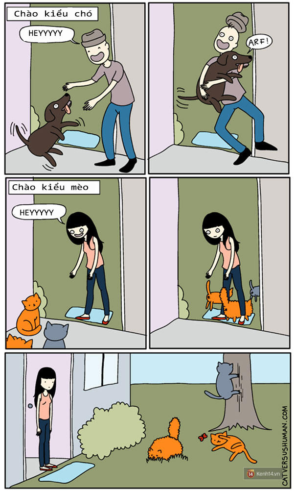 Bộ tranh: Chỉ những ai nuôi mèo mới có thể hiểu sâu sắc những tình cảnh này - Ảnh 1.