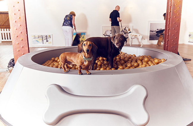 Ghé thăm triển lãm nghệ thuật dành cho chó đầu tiên trên thế giới - Ảnh 1.