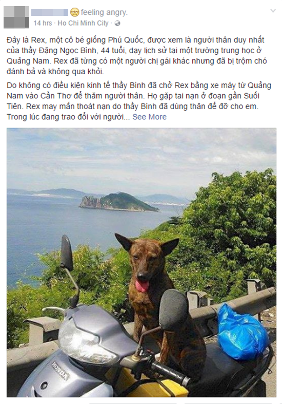 Thầy giáo nghèo lang thang khắp Sài Gòn để tìm lại con chó Phú Quốc bị mất - Ảnh 1.