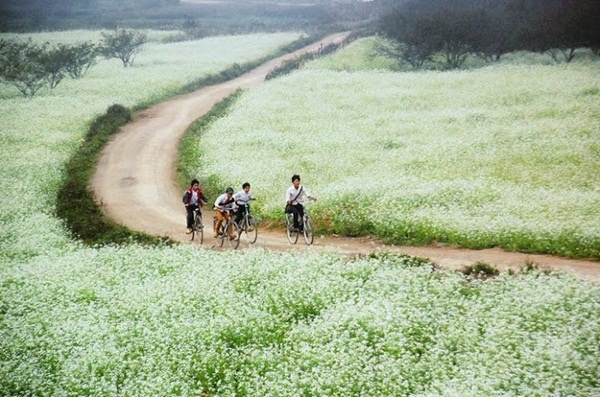 Điểm đến lý tưởng tết dương lịch cho các cặp đôi mới cưới