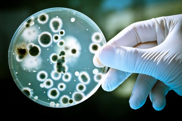 Vì sao vi khuẩn kháng kháng sinh có thể lan ra ngoài môi trường với tốc độ chóng mặt? - Ảnh 1.