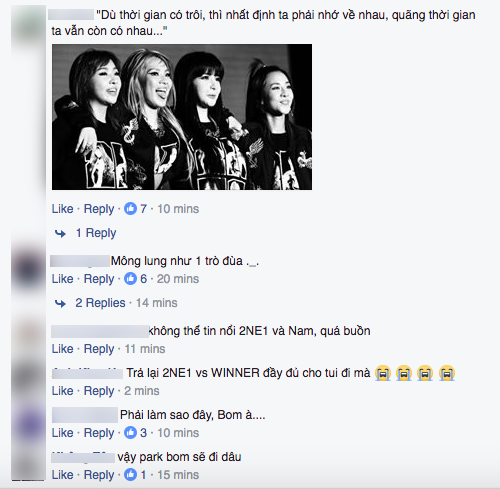 Người hâm mộ thế giới đồng loạt khóc lóc, réo gọi các thành viên sau tin 2NE1 tan rã - Ảnh 10.