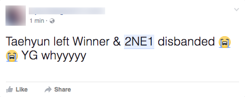 Người hâm mộ thế giới đồng loạt khóc lóc, réo gọi các thành viên sau tin 2NE1 tan rã - Ảnh 7.