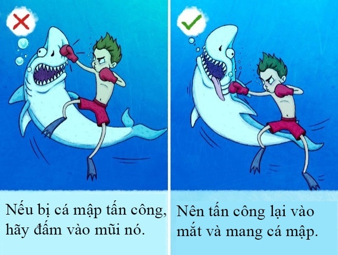 mẹo sinh tồn