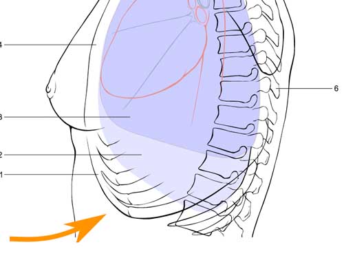 18 kỹ năng để sinh tồn trong mọi hoàn cảnh - 9