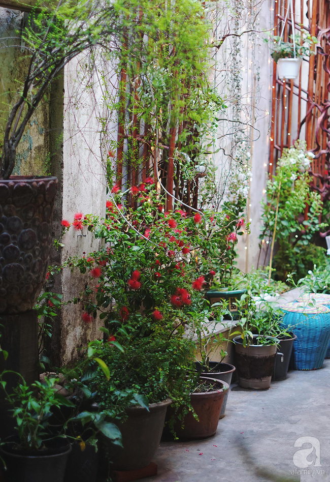 Ở Sài Gòn, có một nơi rất xinh để bạn tĩnh tâm trong không gian, đồ ăn thức uống ngập cỏ hoa - Ảnh 21.