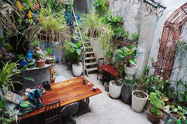 Ở Sài Gòn, có một nơi rất xinh để bạn tĩnh tâm trong không gian, đồ ăn thức uống ngập cỏ hoa - Ảnh 23.