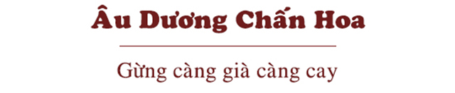 Âu Dương Chấn Hoa: Chân dung &#34;sát thủ bà nội trợ&#34; thập niên 80, 90 - 9