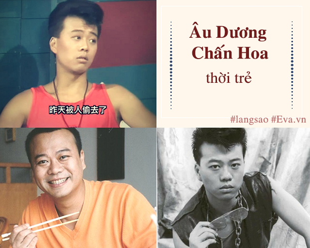 Âu Dương Chấn Hoa: Chân dung &#34;sát thủ bà nội trợ&#34; thập niên 80, 90 - 4