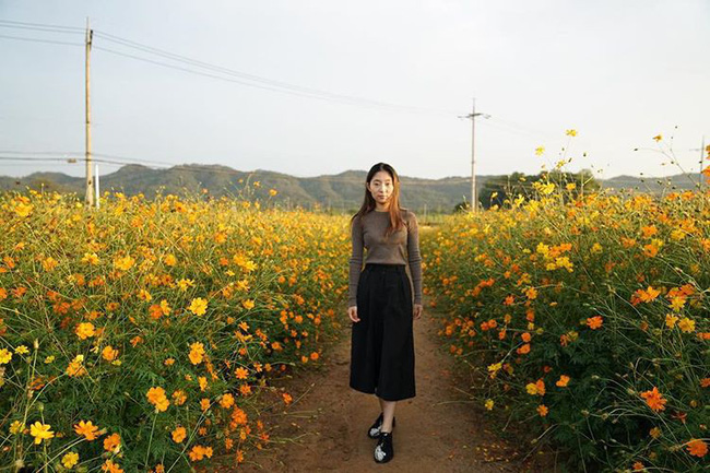Ngẩn ngơ ngắm cánh đồng hoa cosmo Nhật Bản khoe sắc rực rỡ - Ảnh 13.