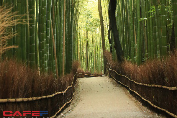 10 điểm du lịch nhất định phải ghé thăm khi đến Kansai Nhật Bản - Ảnh 1.