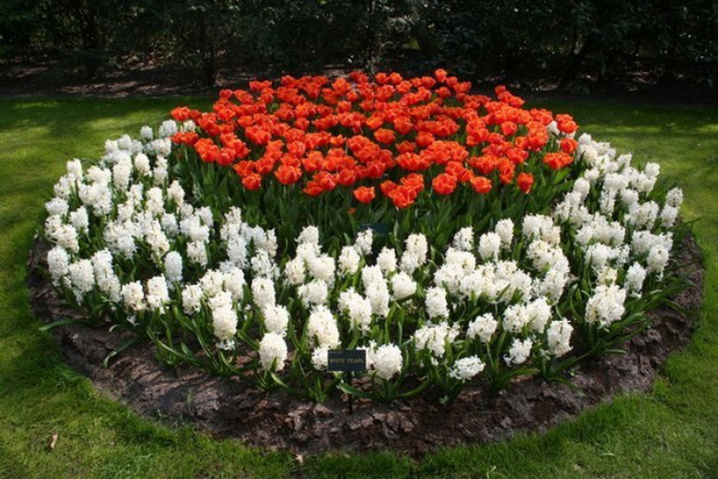 12 ý tưởng thiết kế khu vườn đẹp với biến tấu của hoa khiến bạn không thể rời mắt - Ảnh 4.