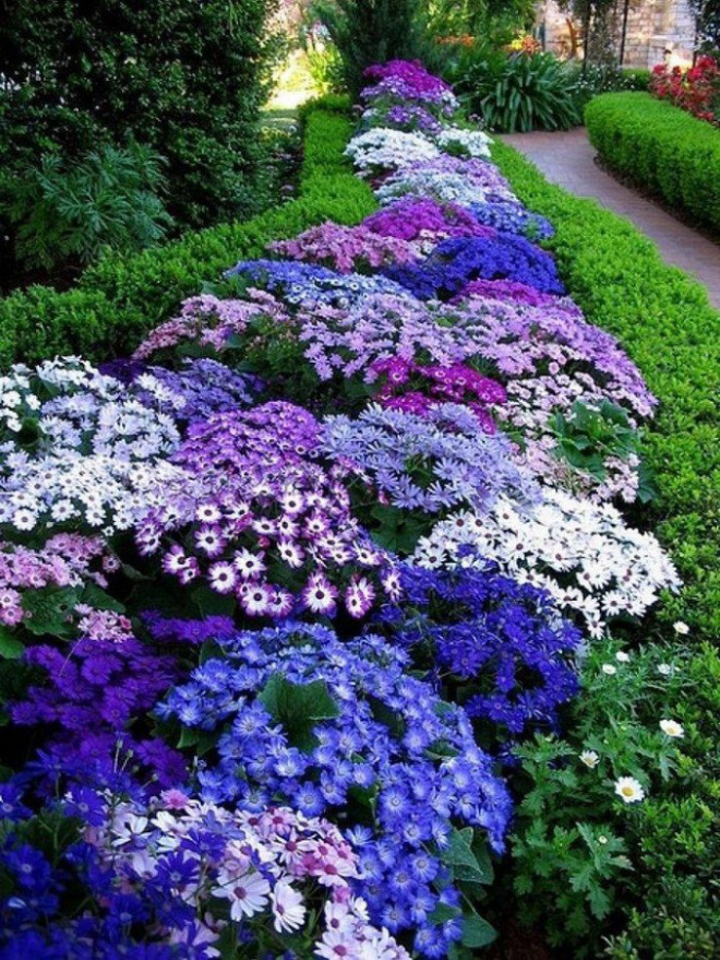 12 ý tưởng thiết kế khu vườn đẹp với biến tấu của hoa khiến bạn không thể rời mắt - Ảnh 6.