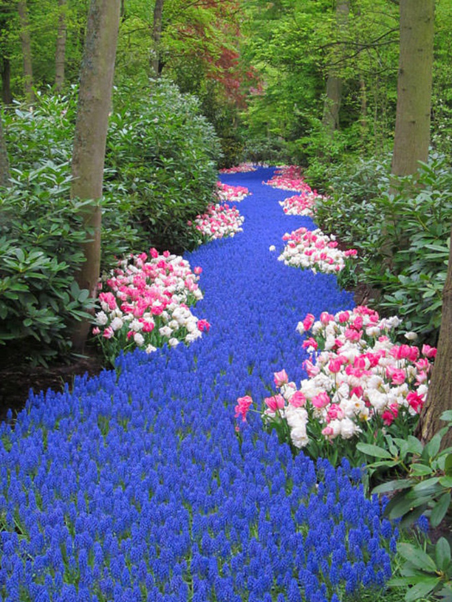 12 ý tưởng thiết kế khu vườn đẹp với biến tấu của hoa khiến bạn không thể rời mắt - Ảnh 7.