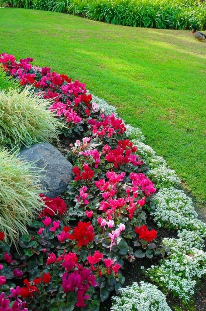 12 ý tưởng thiết kế khu vườn đẹp với biến tấu của hoa khiến bạn không thể rời mắt - Ảnh 10.