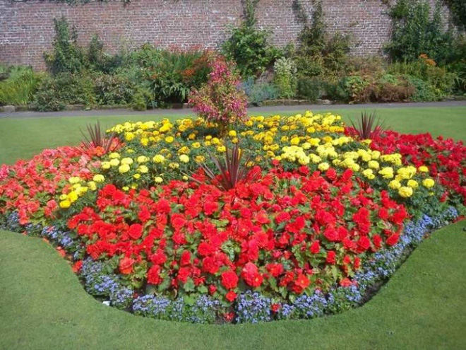 12 ý tưởng thiết kế khu vườn đẹp với biến tấu của hoa khiến bạn không thể rời mắt - Ảnh 11.