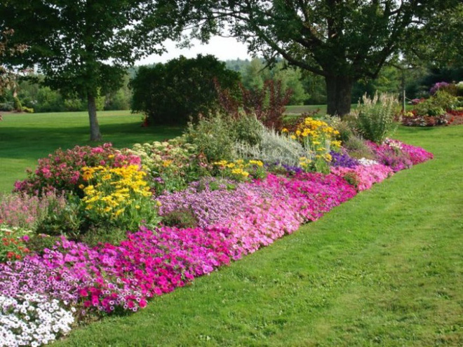 12 ý tưởng thiết kế khu vườn đẹp với biến tấu của hoa khiến bạn không thể rời mắt - Ảnh 12.