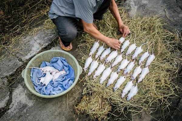 Được ăn món &#39;kinh dị&#39; của Việt Nam, phản ứng của phóng viên Mỹ khiến ai cũng bất ngờ - 2