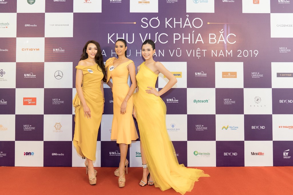 Thi sinh so khao phia Bac Hoa hau Hoan vu Viet Nam 2019 (3)