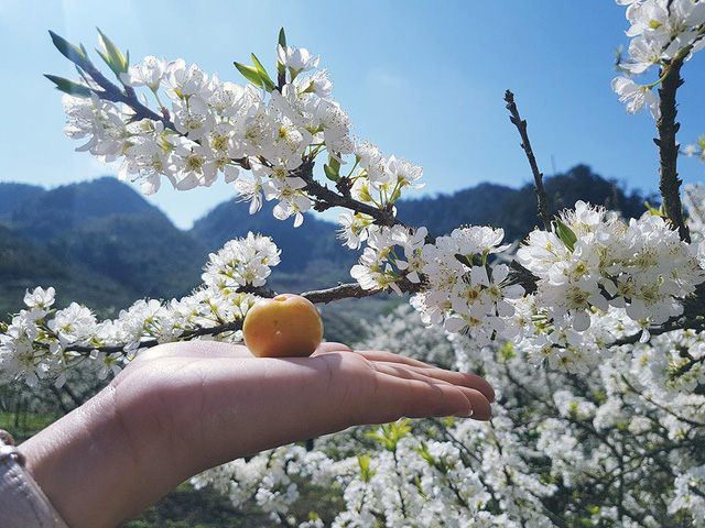 Tết mà chẳng chịu ở nhà, người người rủ nhau trèo đèo, lội suối! - Ảnh 8.