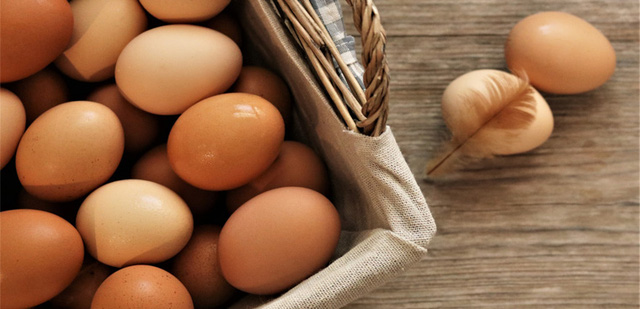 8 điểm lưu ý khi bảo quản trứng để tươi ngon, đảm bảo dinh dưỡng tại nhà: Thời hạn sử dụng của trứng thực sự rất ngắn, 99% mọi người đang lưu trữ sai cách - Ảnh 1.
