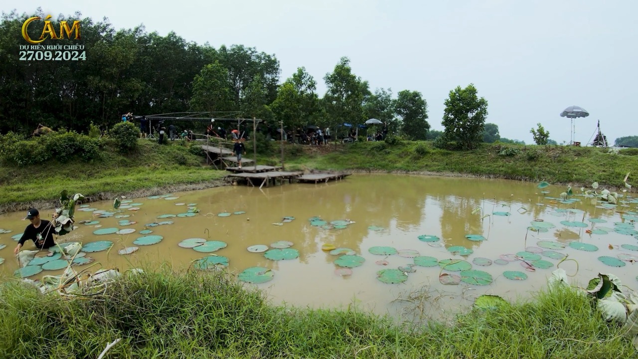 Đầm sen Trường Phước lớn